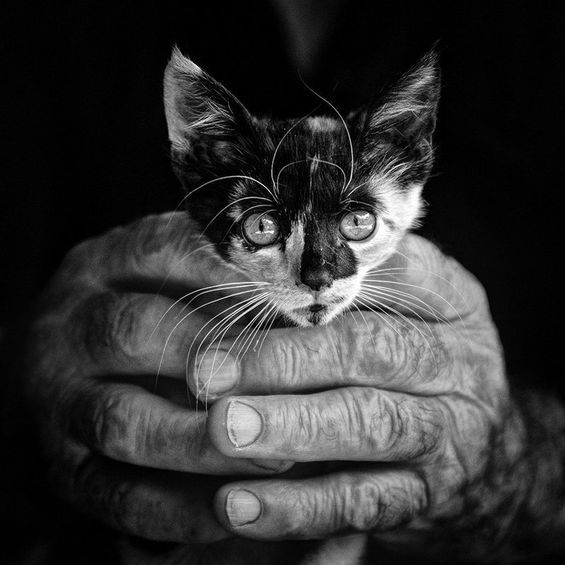 - * - фото превью