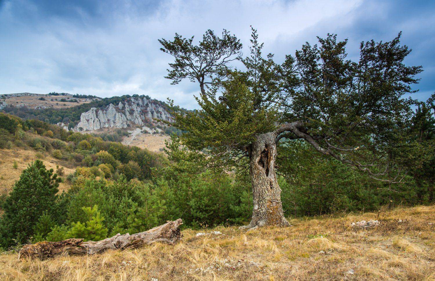, Станислав Савицкий