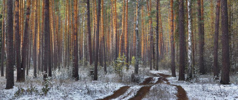 Утро после первого снега фото превью