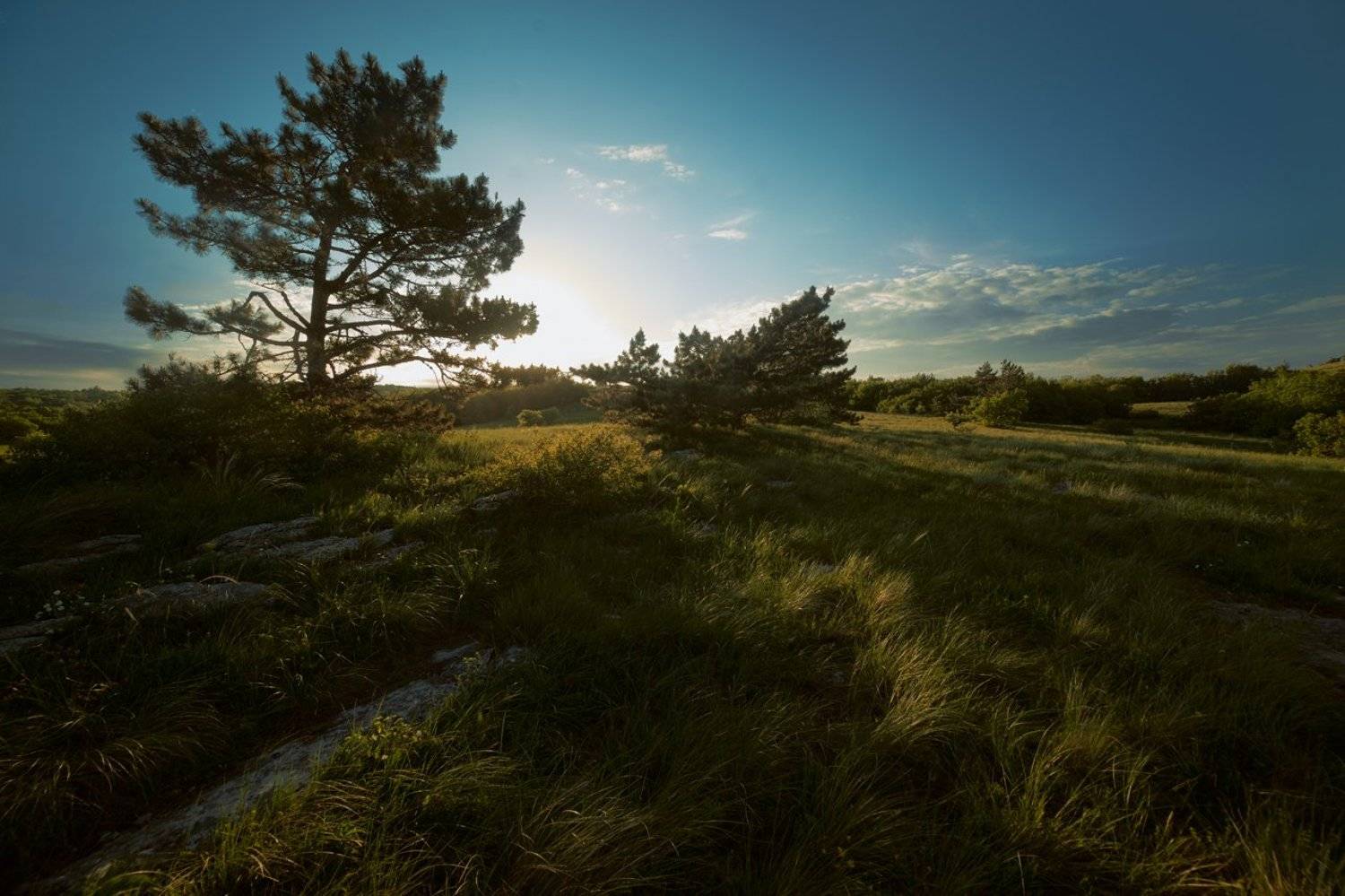 , Гоголев Андрей