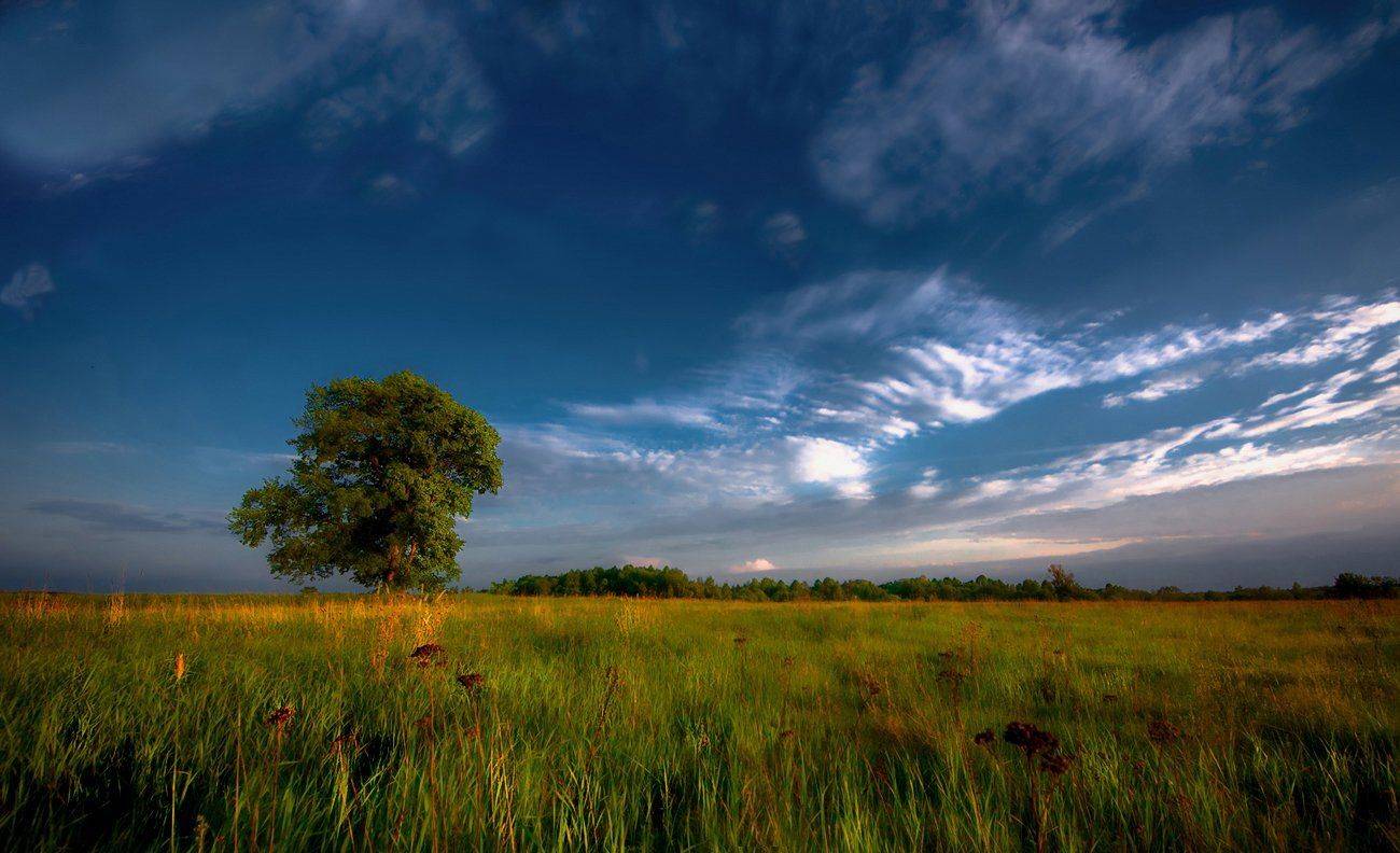 , Сергей (Bekr)