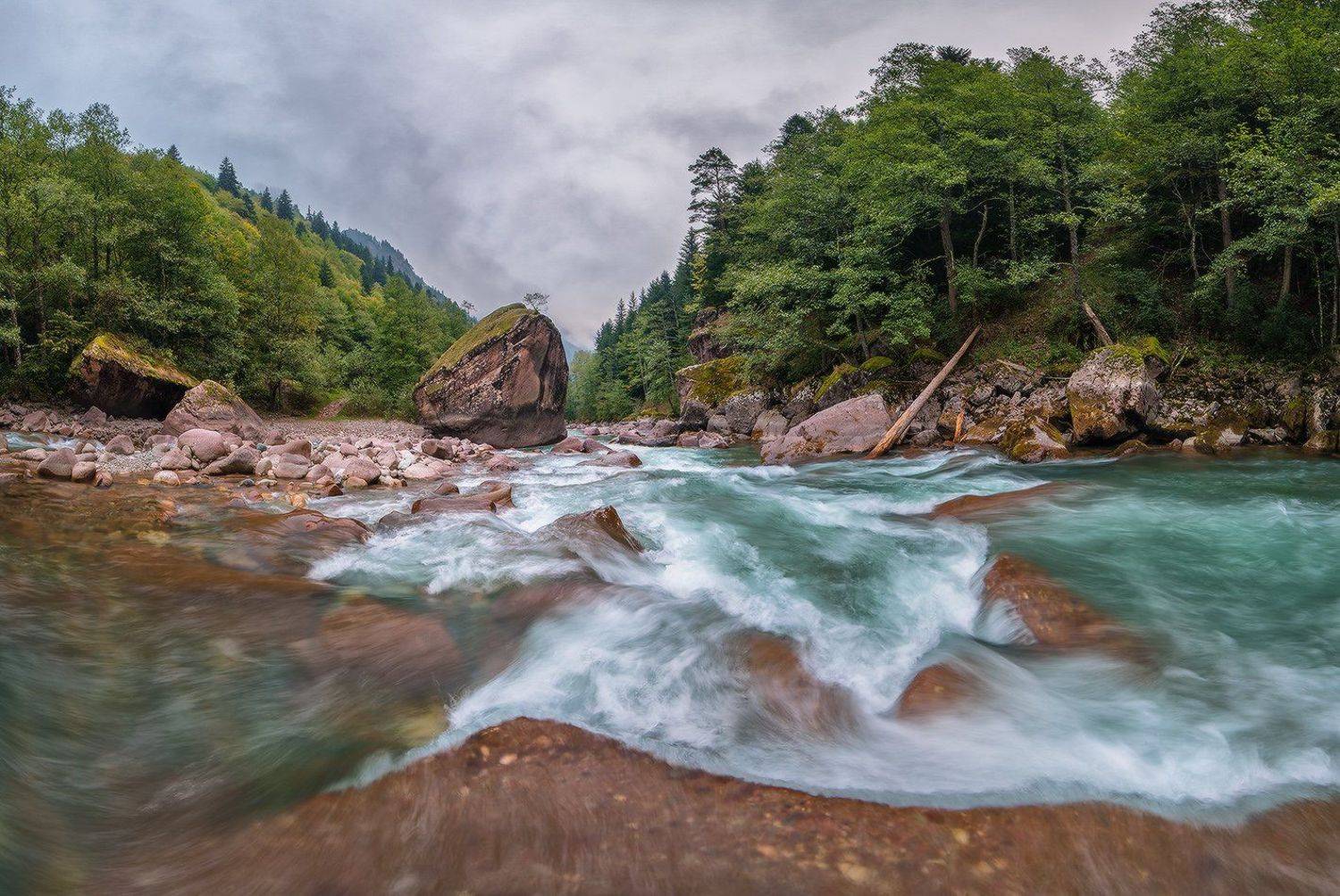 , Николай Мысливцев