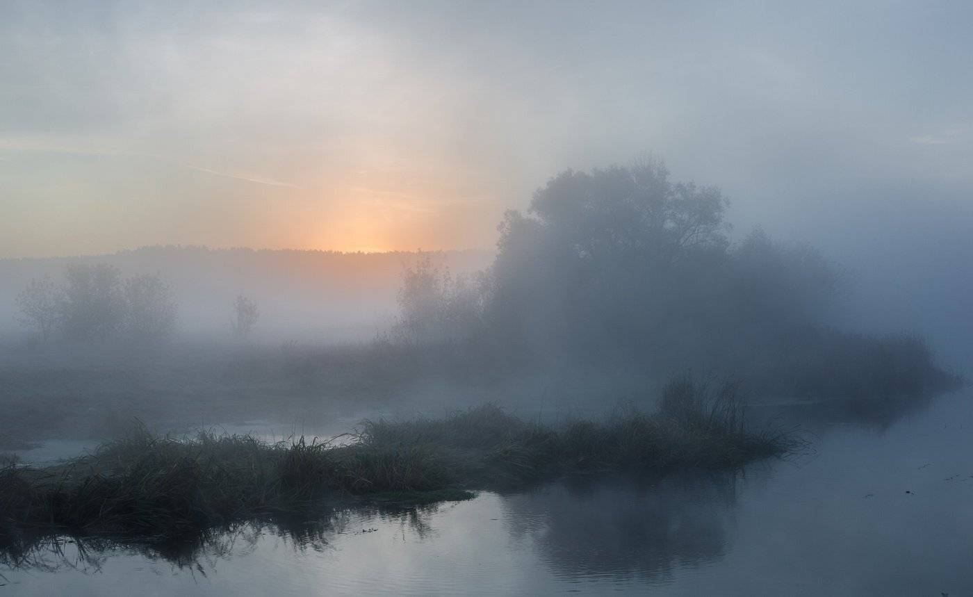 , Александр Бредихин