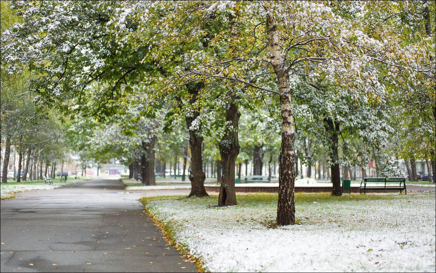 Город, Москва, Осень, Первый, Проспект, Россия, Снег, Университетский, Юрий Дегтярёв