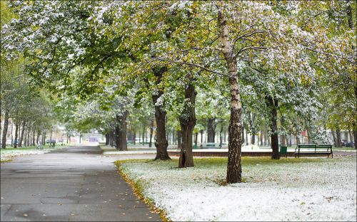 Россия. Москва. Первый снег на Университетском проспекте.