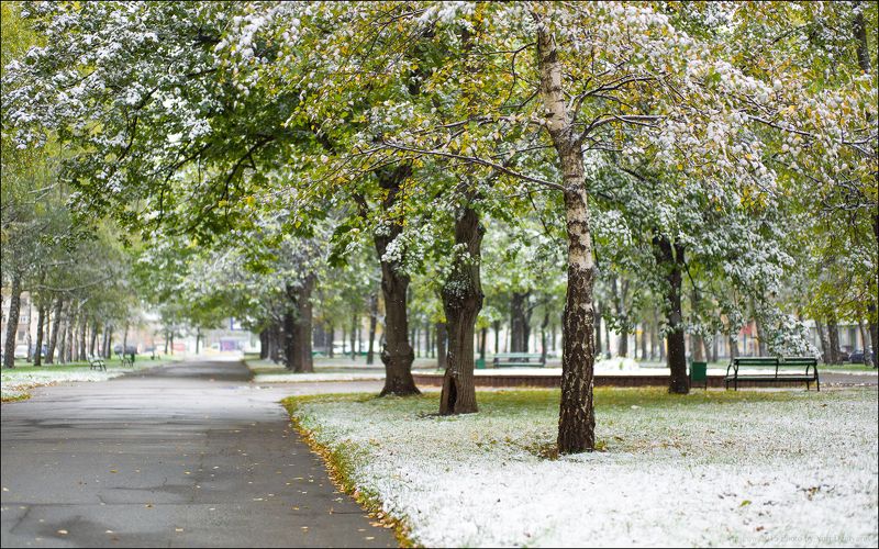 Город, Москва, Осень, Первый, Проспект, Россия, Снег, Университетский Россия. Москва. Первый снег на Университетском проспекте. фото превью