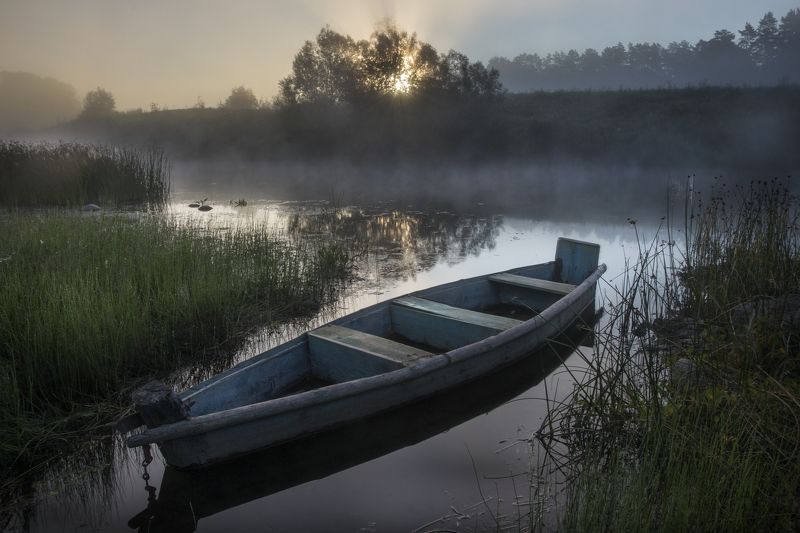 рассвет, река, угра, туман, утро, лето, природа, россия, Утро на Угре фото превью