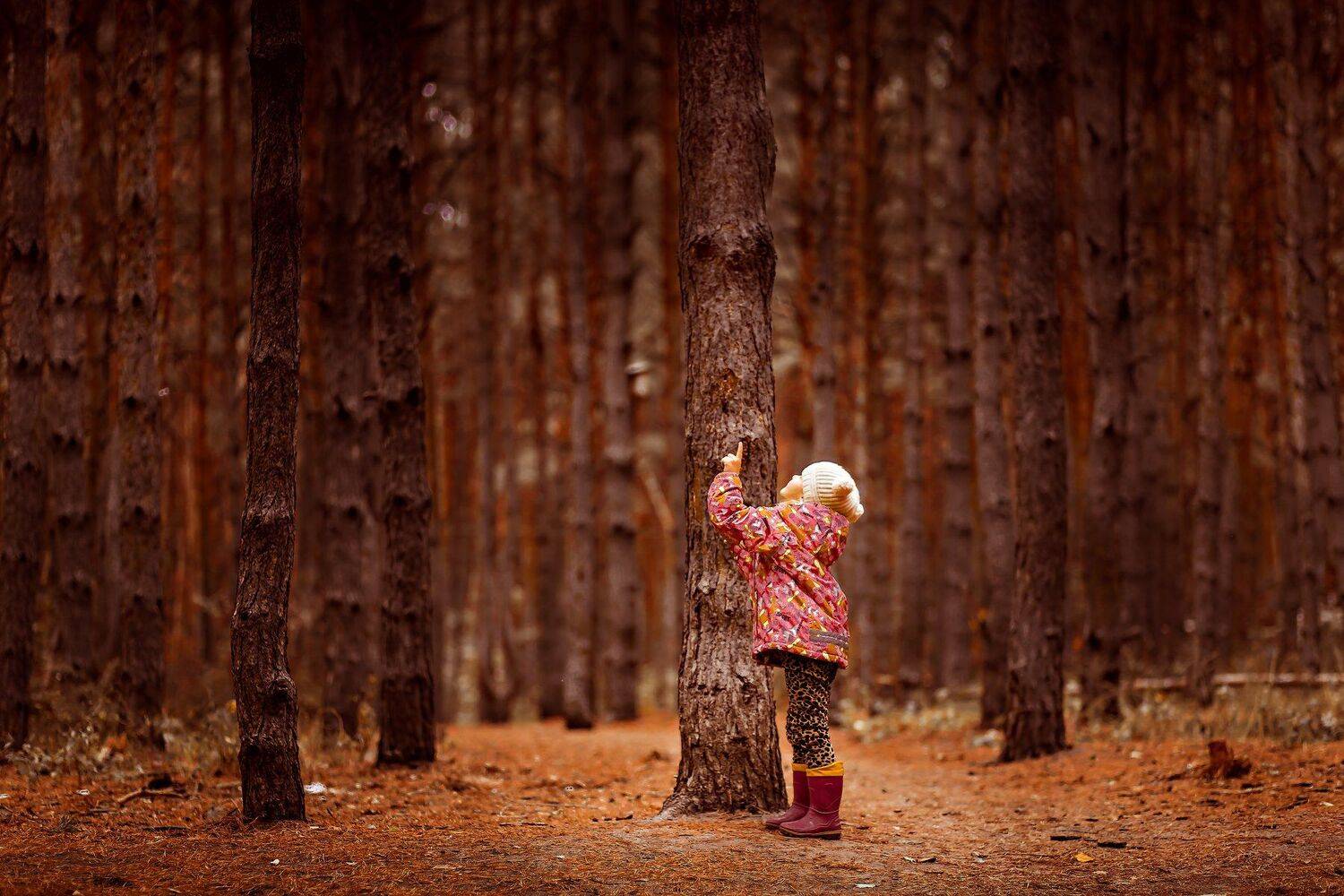 Девочка, Дети, Лес, Анопченко Ирина