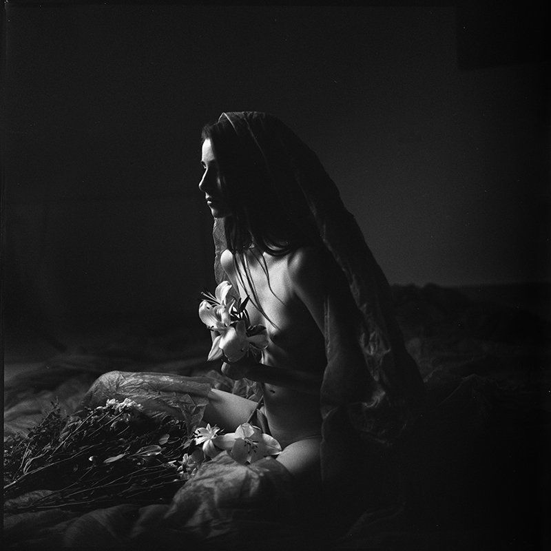 film 6x6 HP5 Presence  фото превью