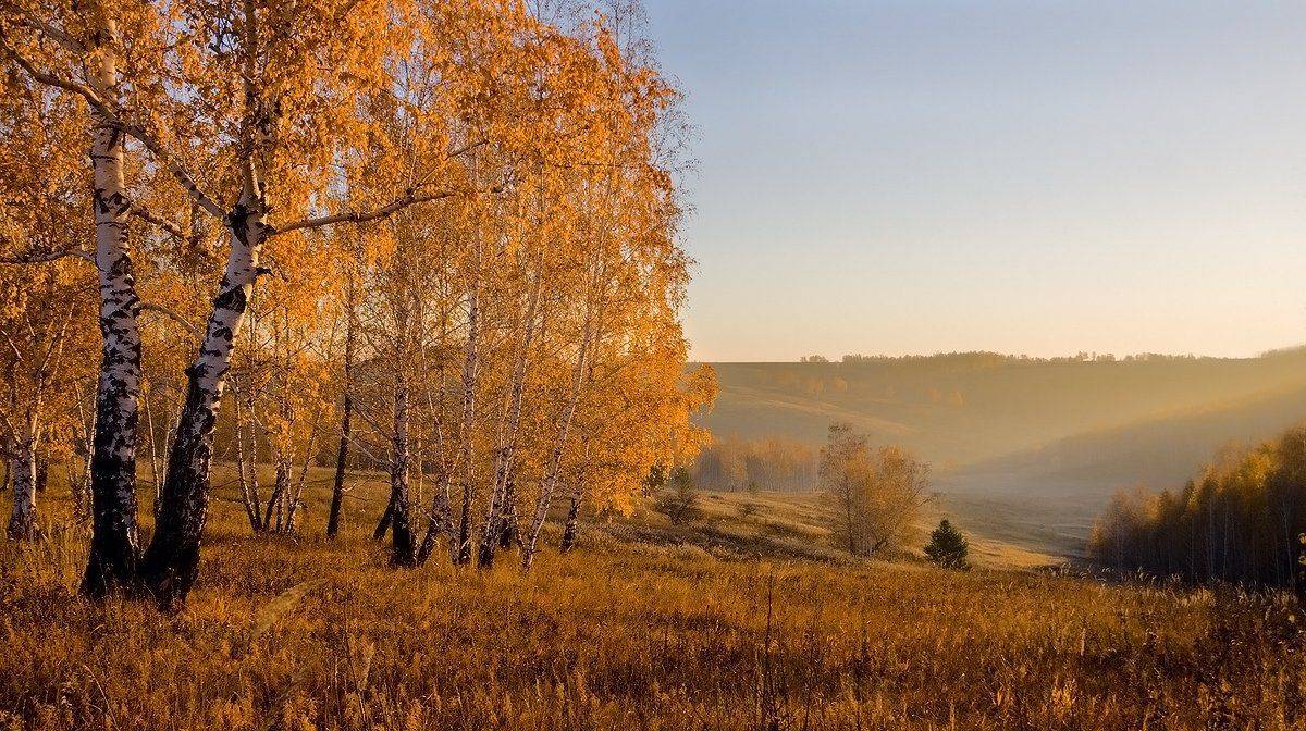 , Николай Морский