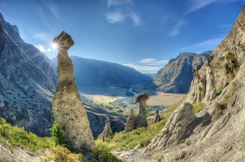 Грибы фото превью