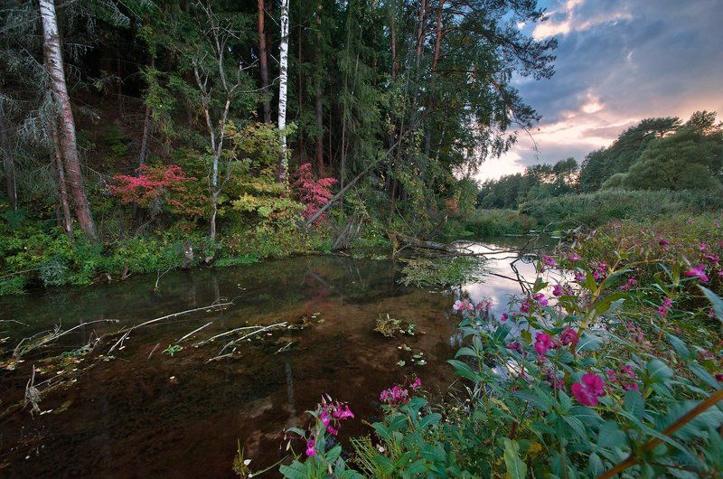 пейзажи московской области, фотоальбом \\ Pro Москворецко-Окскую провинцию Московской области фото превью