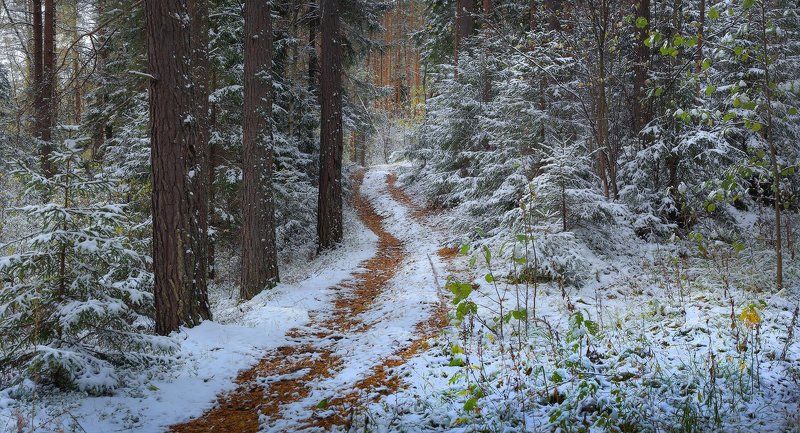 Преображение фото превью