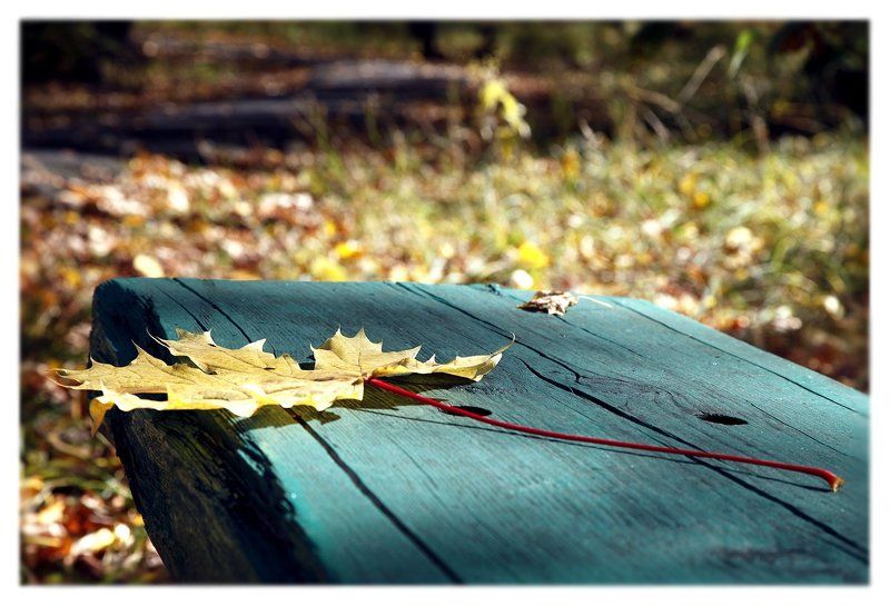 ... фото превью