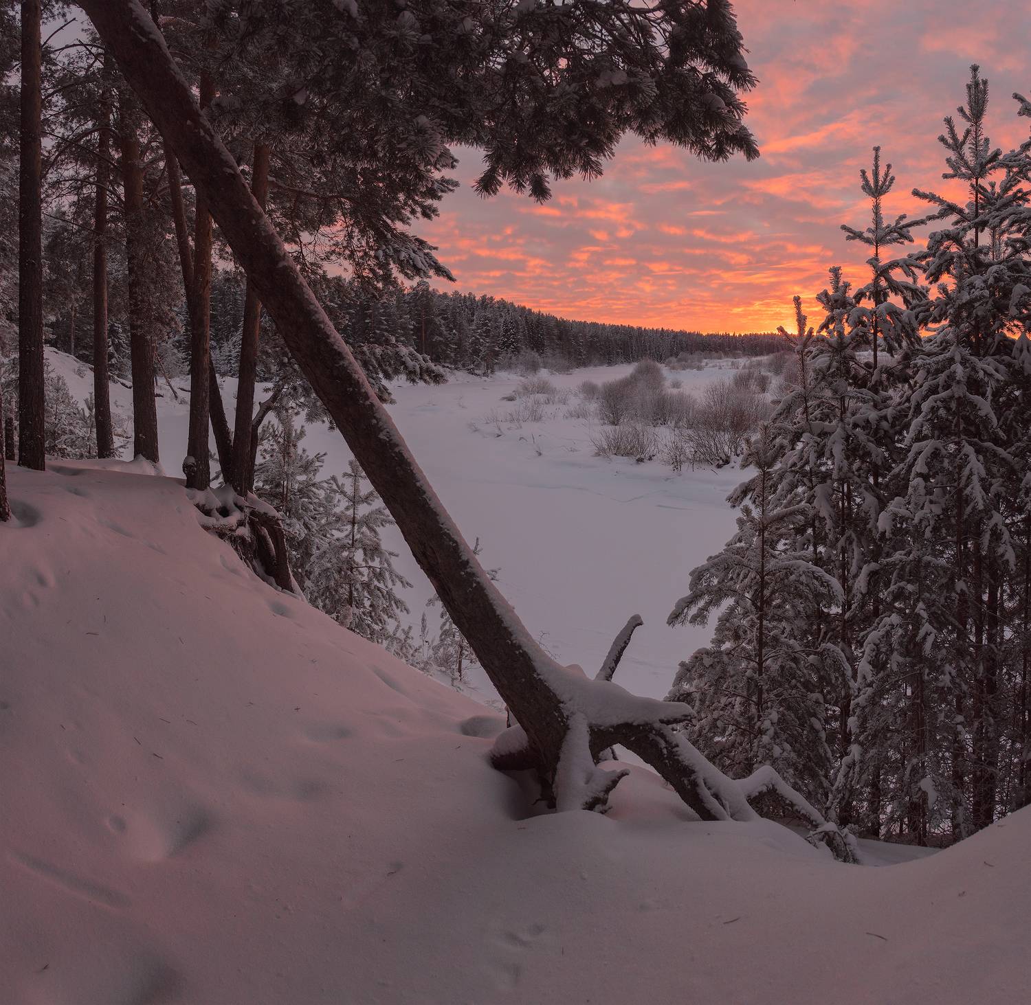 , Карепанов Евгений