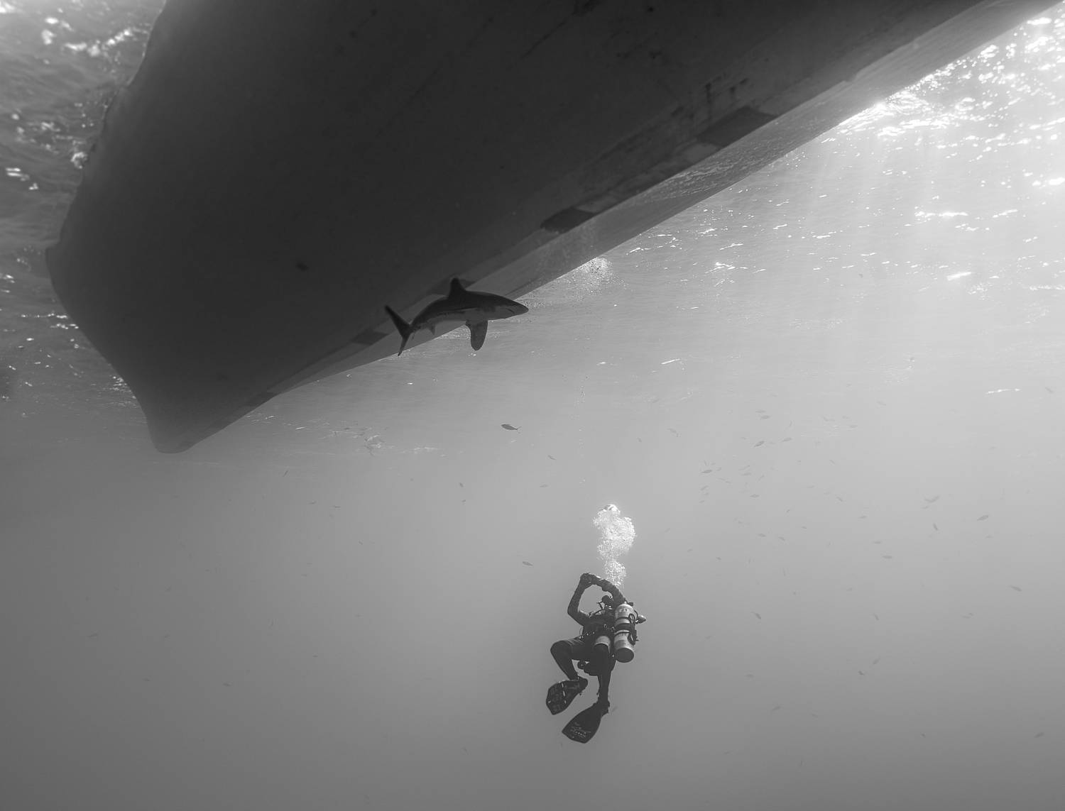 , Валерий Одинцов