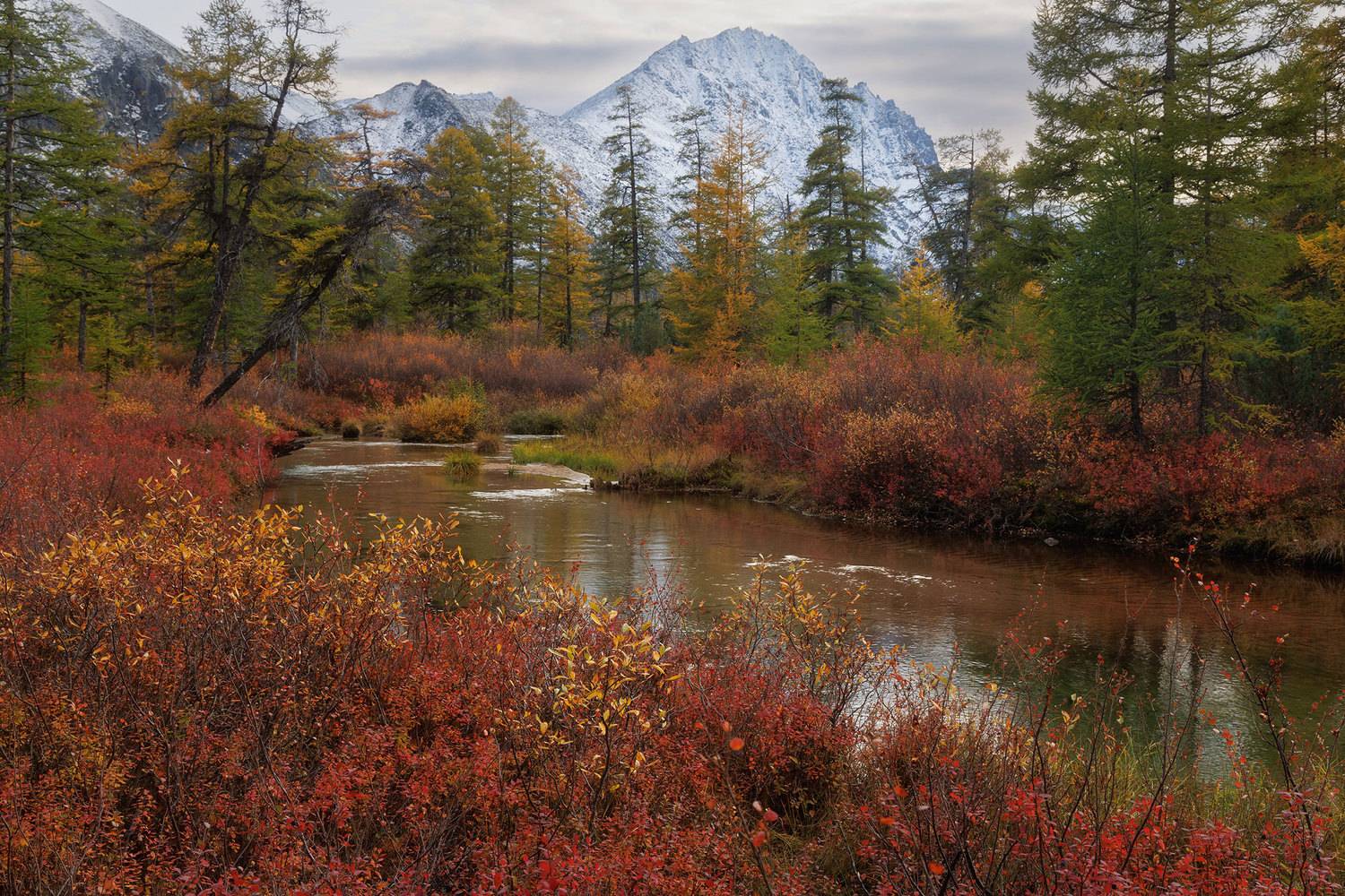 , Морозов Сергей