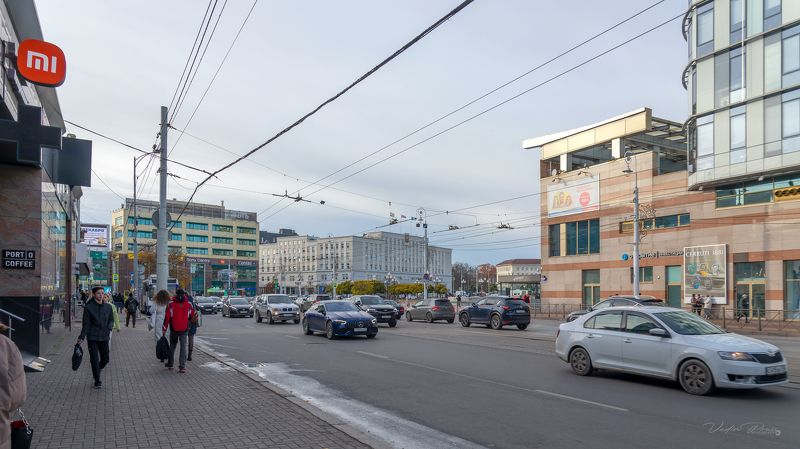 Калининград, город, фотография, стрит, улица, Россия, дома, проспект, Свирин Вадим, день, осень, 2023 «Калининград» фото превью