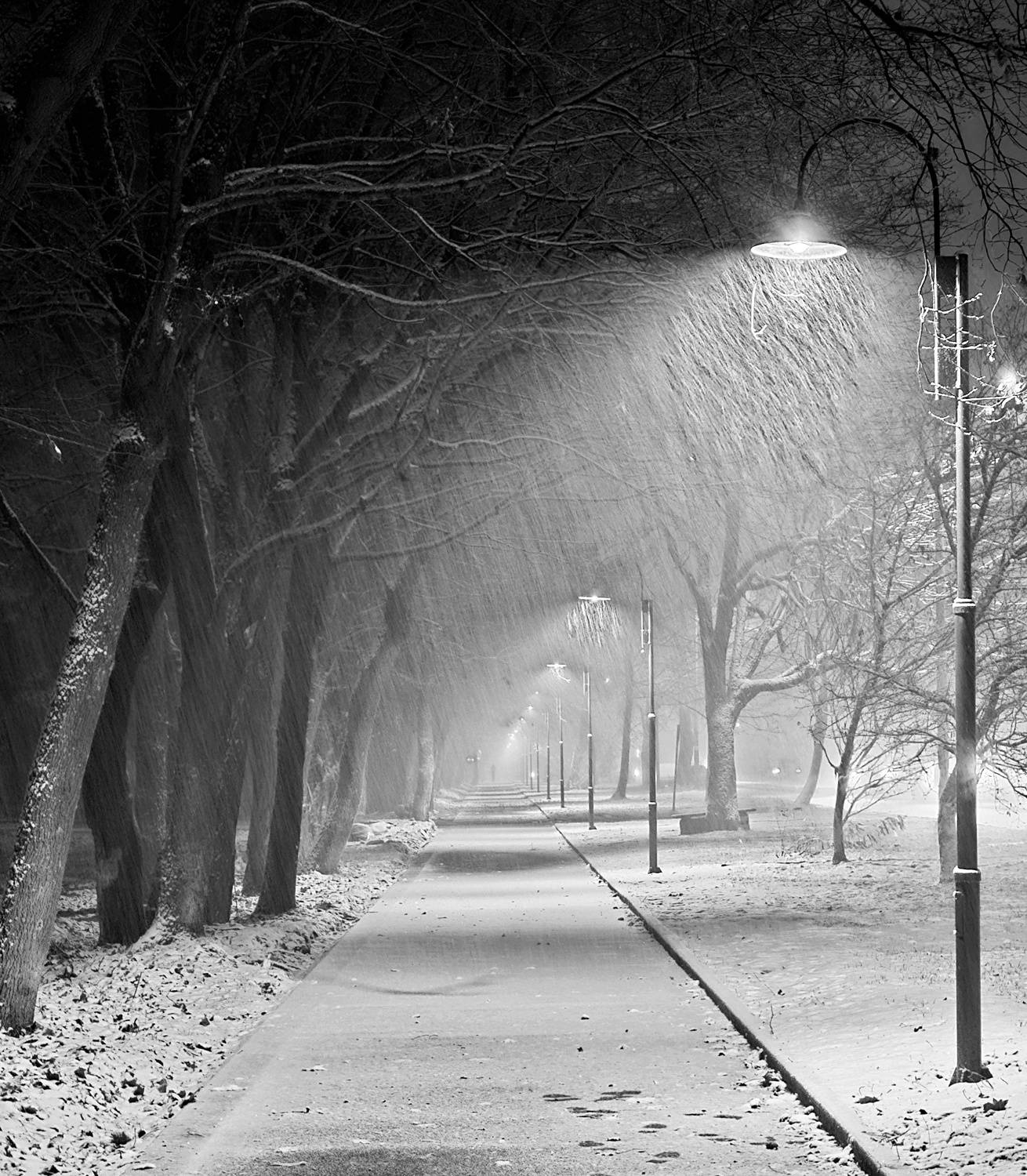 , Герчев Николай