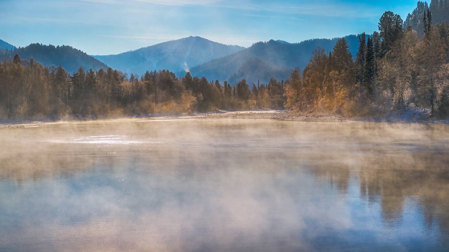 , Шварцман Евгений