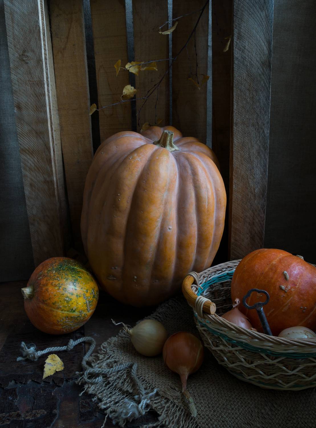 , Колеснева Елена