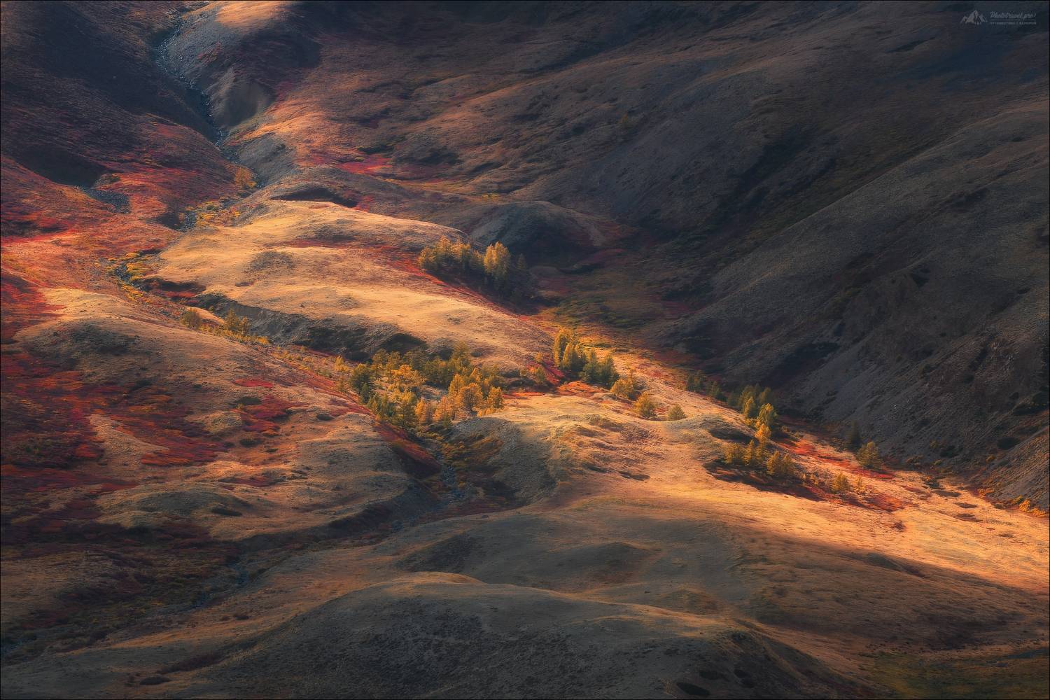 алтай, укок, джазатор, горный алтай, фототур на алтай, осенний фототур на алтай, фототур на алтай и в монголию, Влад Соколовский