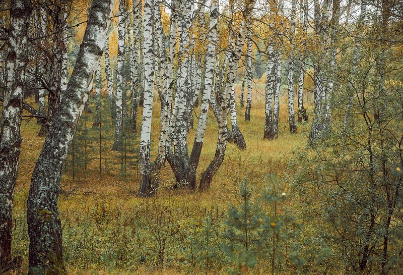 Inyutino фото превью