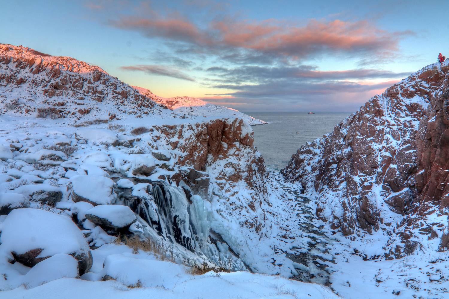 , Добролюбова Тамара