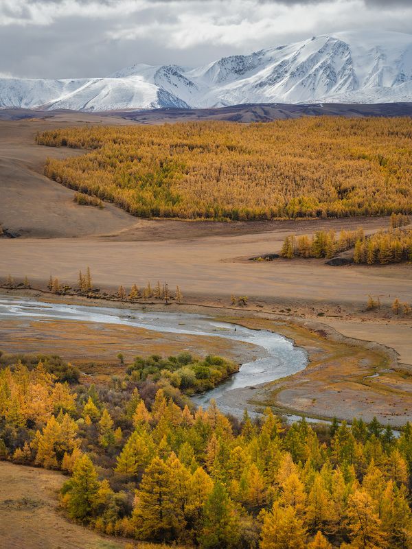 Краски.  / Colors... фото превью