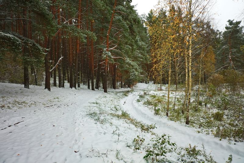 До свидания, Осень! Здравствуй, Зима! фото превью