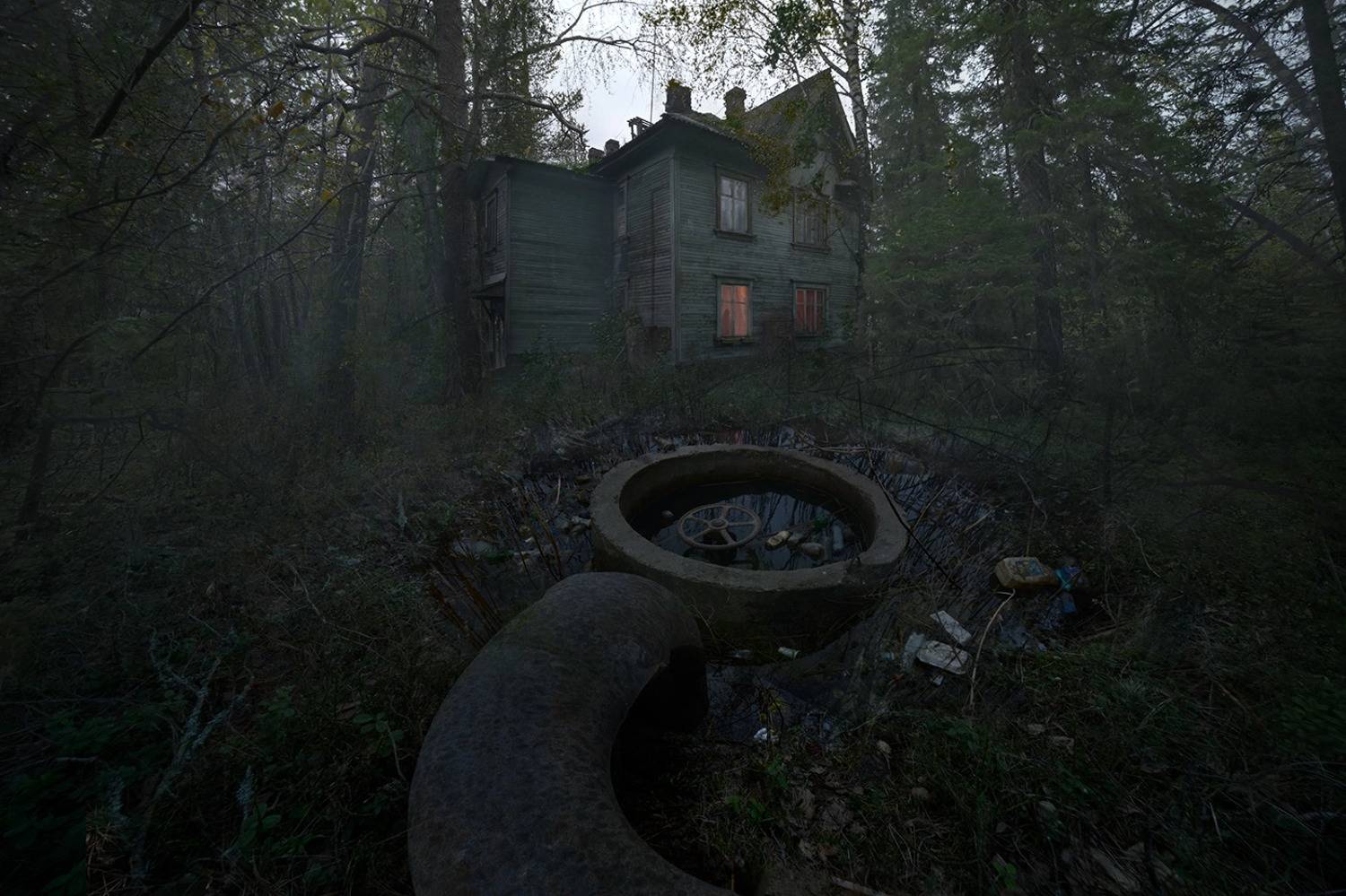 , Дeнис Бoдрoв