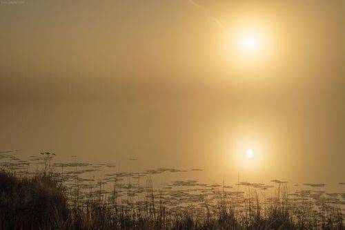 Туманное утро на озере Ырымвад
