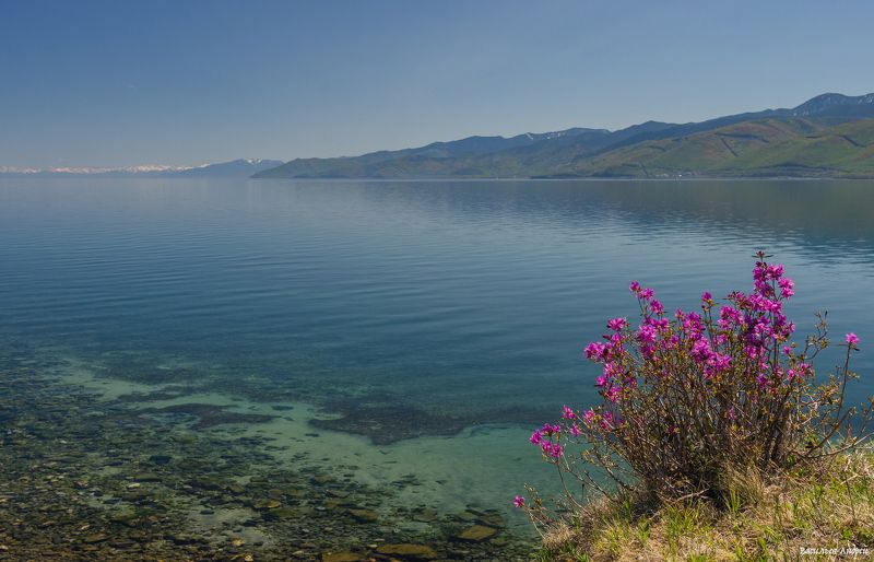 байкал, природа, весна Байкал фото превью
