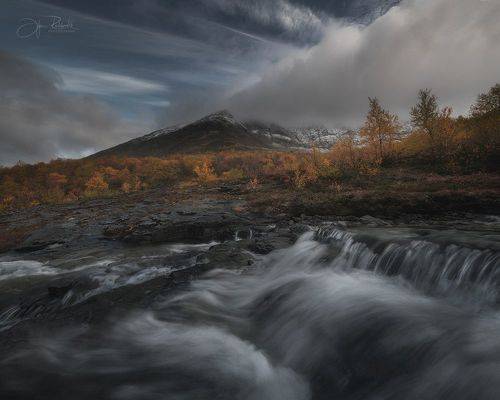 О чем шумит Рисйок