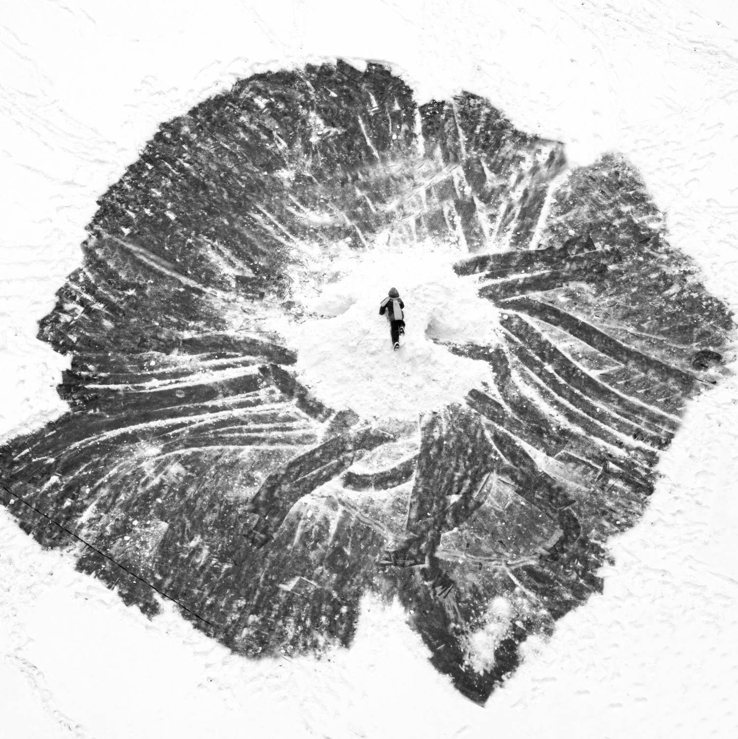 , Алексей Федотов