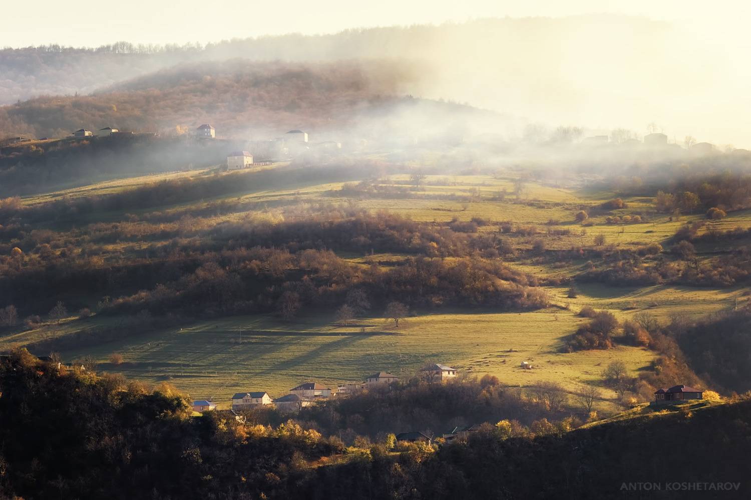 , Антон Кошетаров