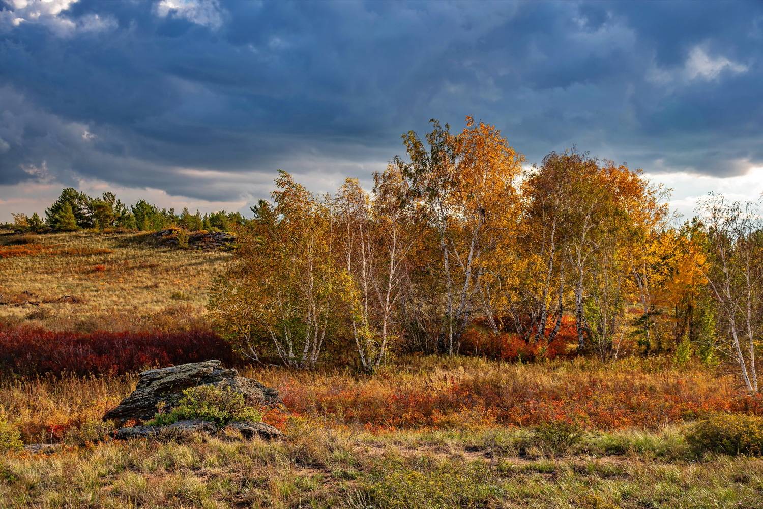 осень, Евгений Дроботенко