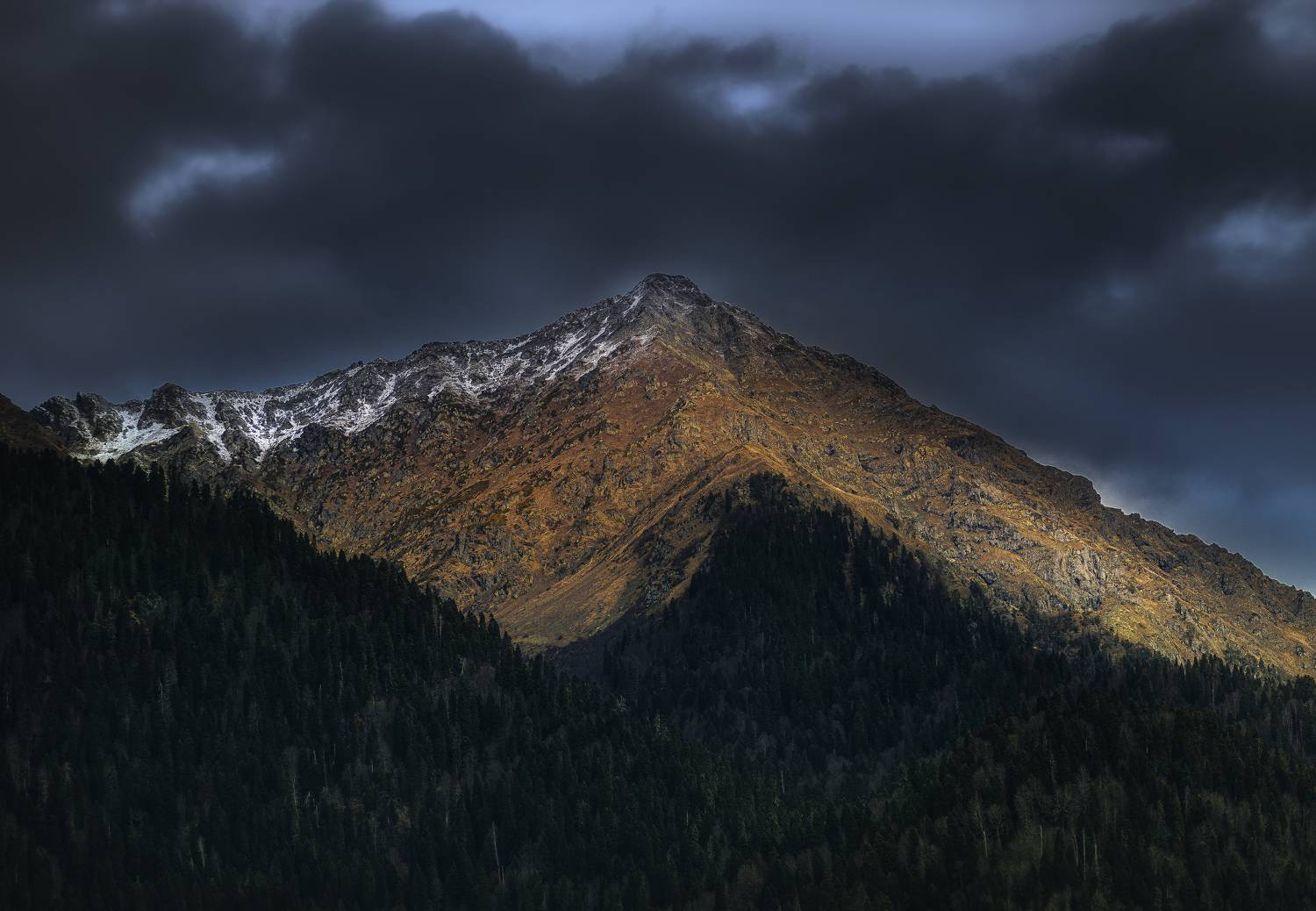 , Антонов Антон