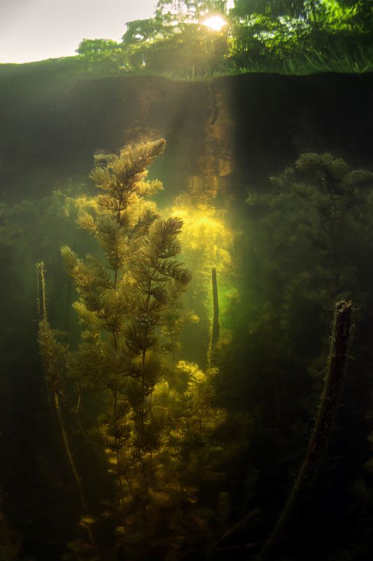 На закате. фото превью