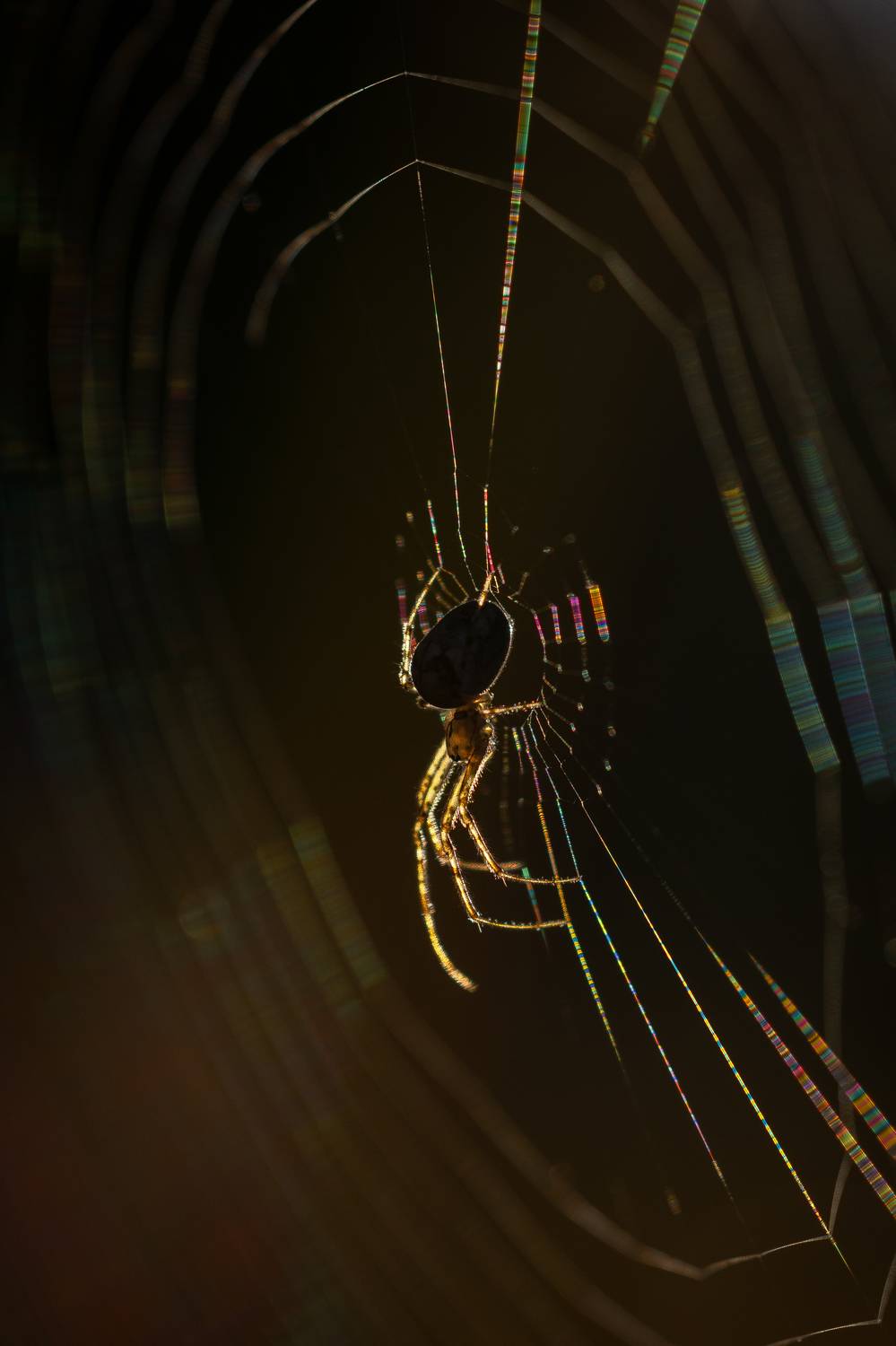 , Кузнецов Дмитрий