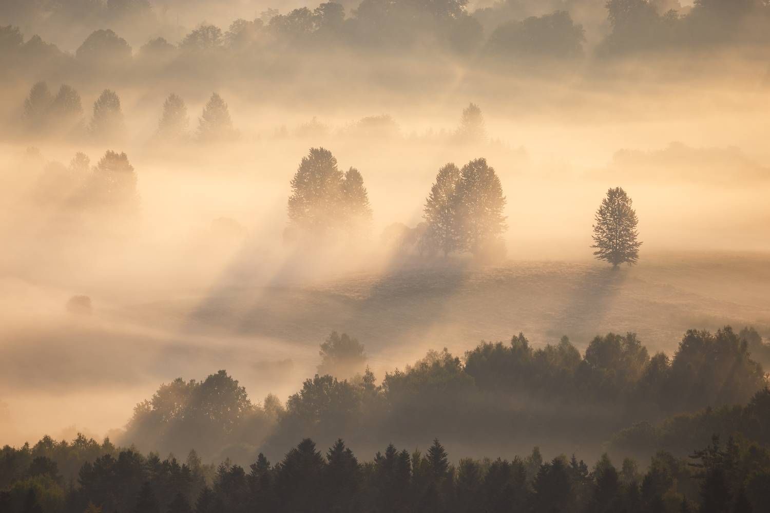 ,  Mirosław Pruchnicki