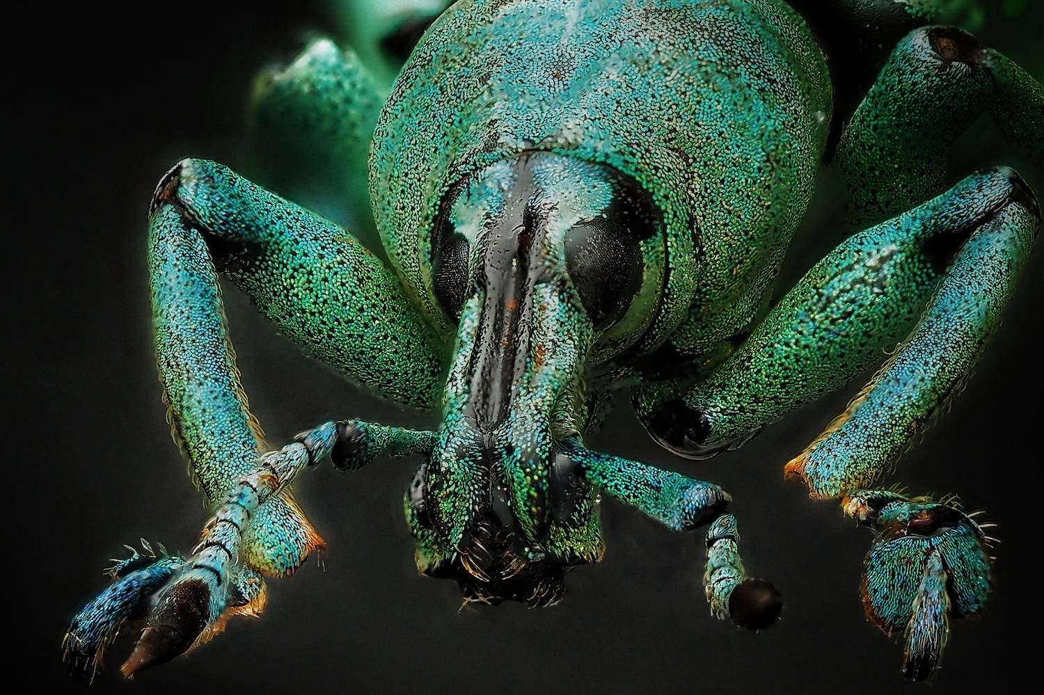 , Савчук Анатолий