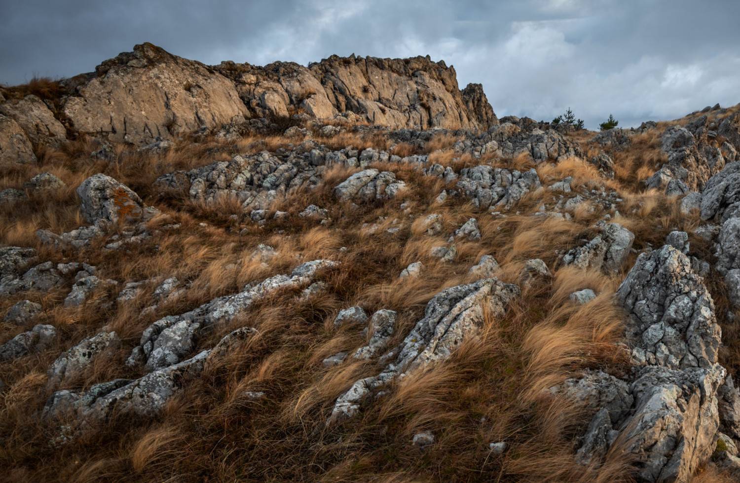 , Андрей Гусаченко