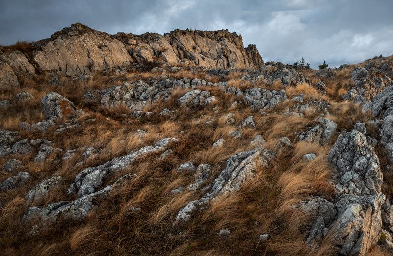 Приближение. фото превью