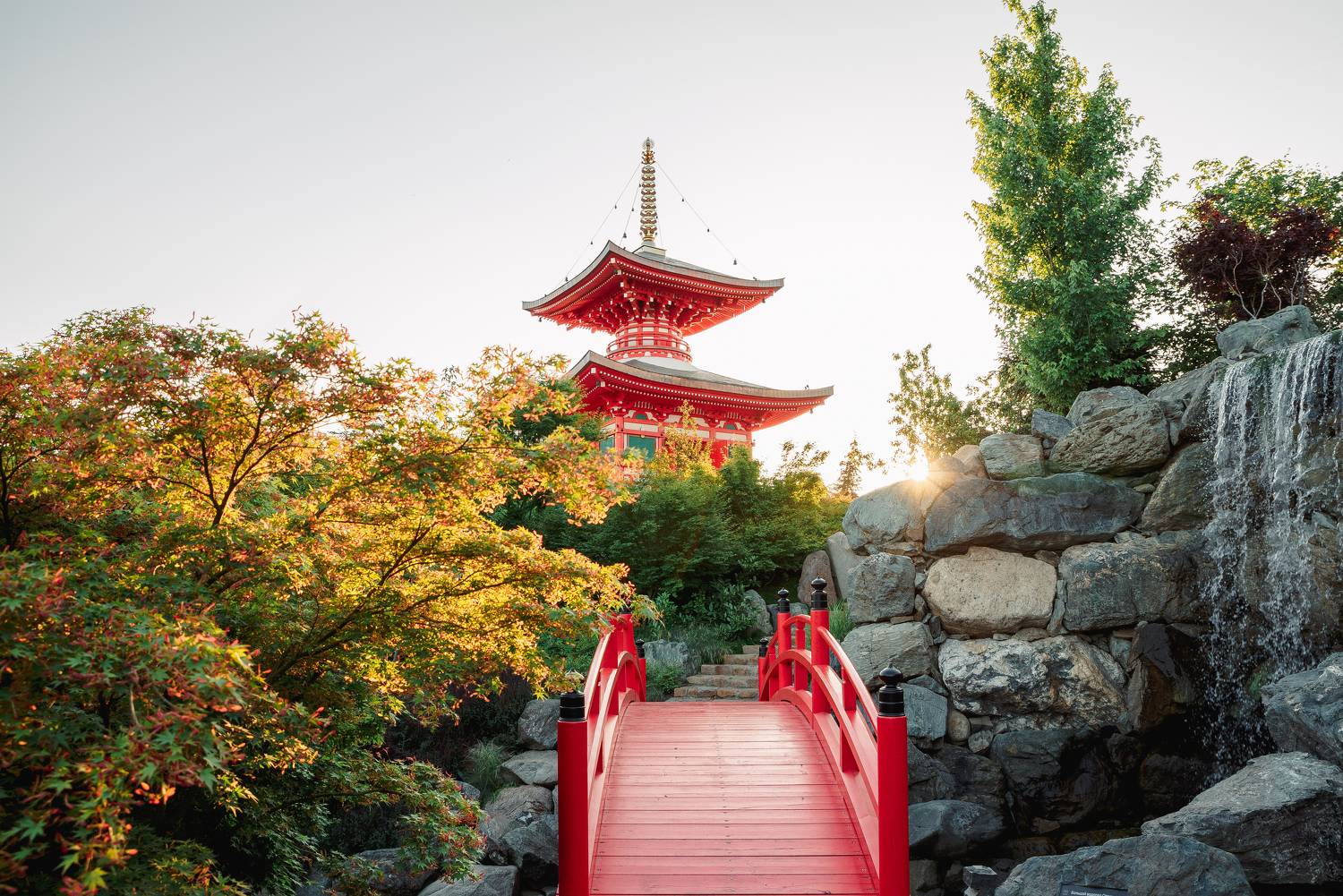 японский сад, краснодар, закат, Храмов Роман