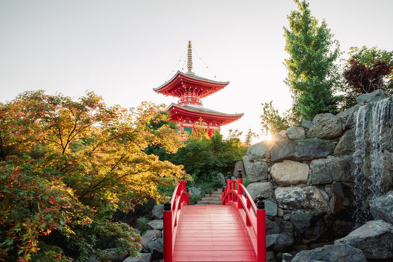японский сад, краснодар, закат Закат в Японском саду фото превью