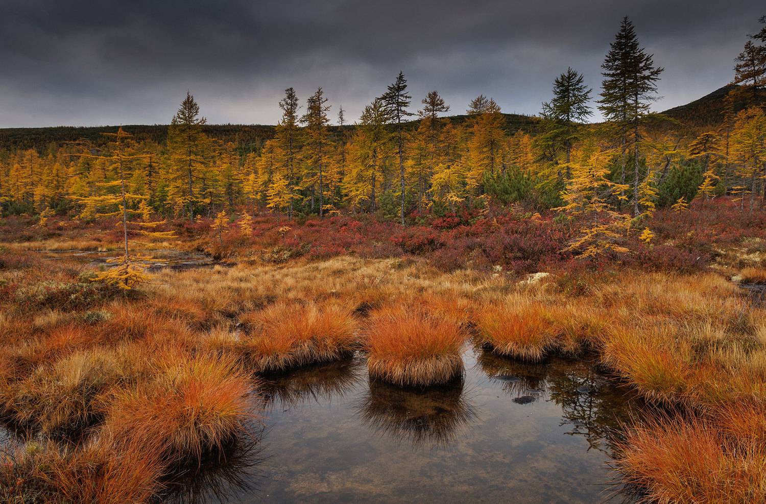 , Морозов Сергей