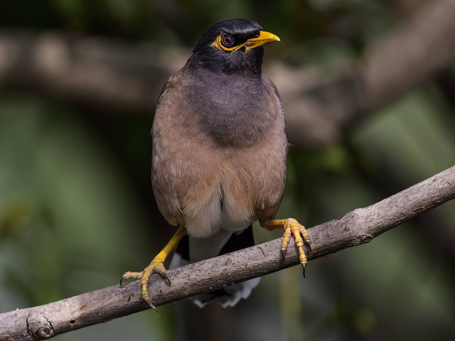 , Пупонин Сергей