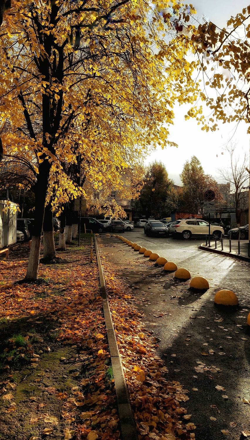 , Сагайдак Павел