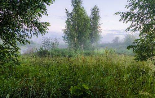 Было лето и прошло...